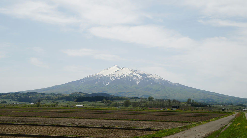 Kodai Monma