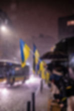 Image by Anastasiia Krutota