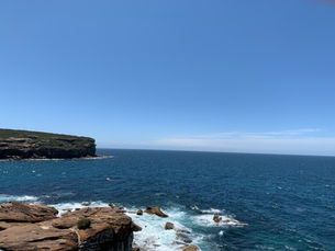 Top Restaurants Near Palm Beach for Visitors