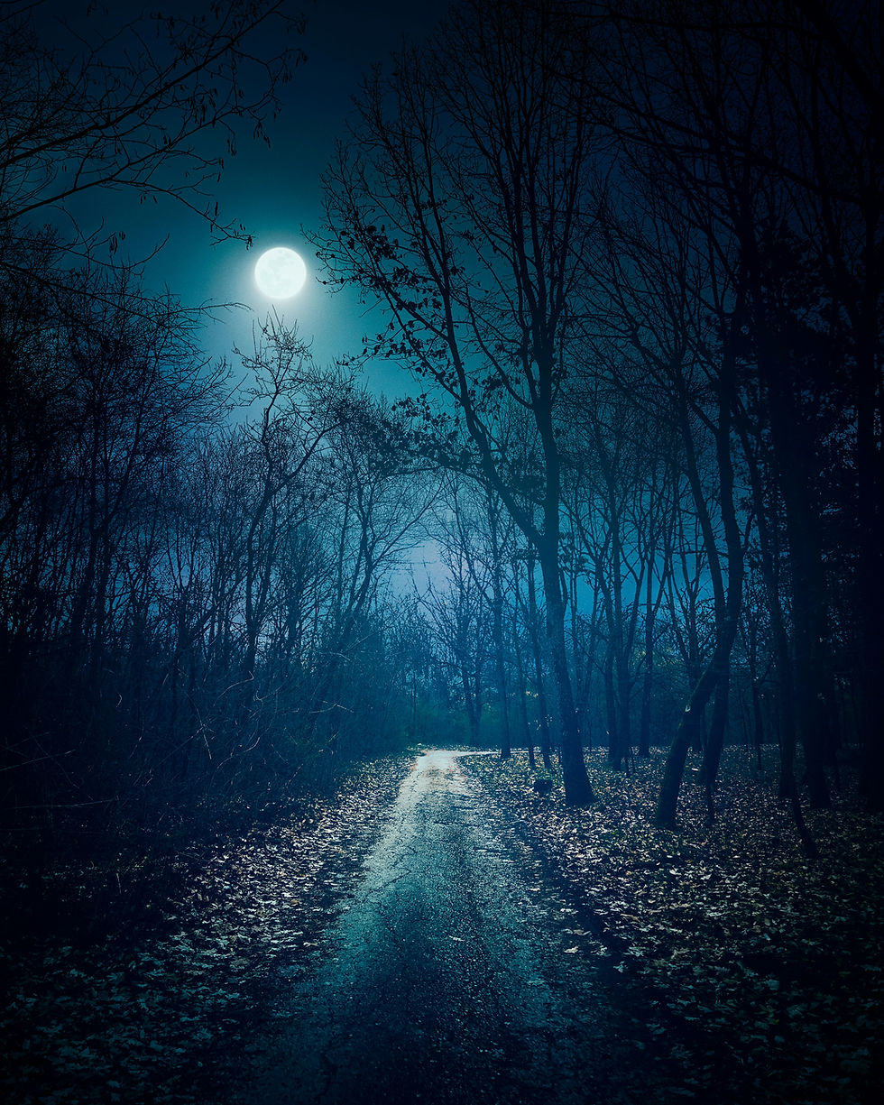 An image of a full moon with a blue hue shining brightly on a forest track