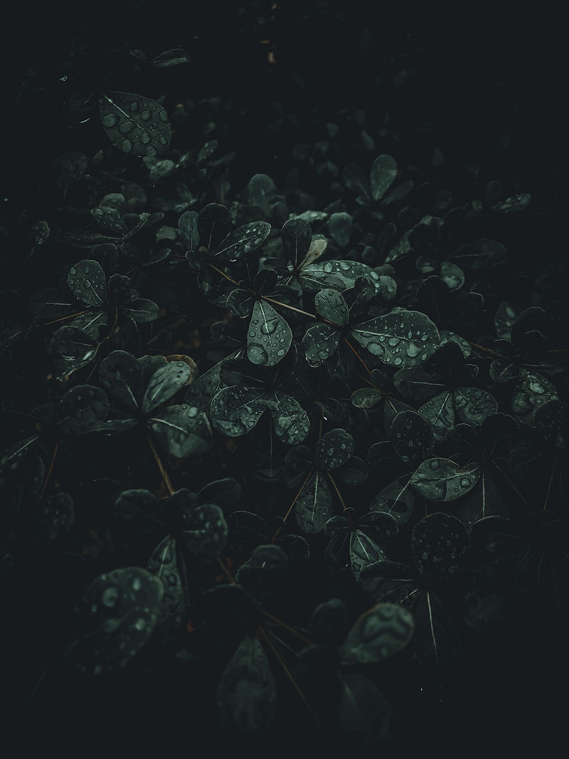 Image by Waseem Khan