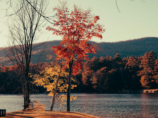 Autumn sunset over a lake with fall foliage, representing seasonal change and seasonal depression