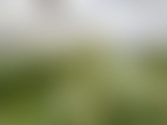 Submit a Guest Post for Cannabidiol CBD in Kyrgyzstan