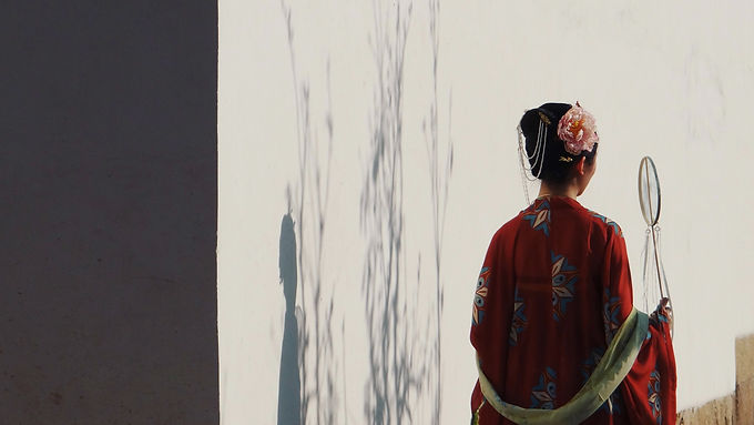 Image by Zichao Zhang