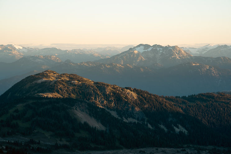 Image by Matt Drenth
