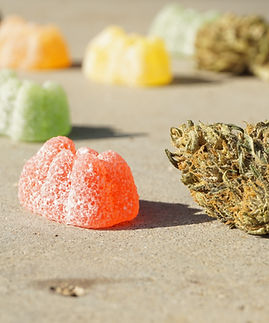 Image by Elsa Olofsson