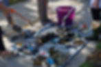 MLK Day of Service Litter Sweep and Food Drive