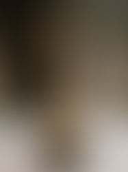 Estatueta dourada dos Óscares em primeiro plano, com fundo desfocado e iluminação suave