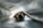 Image by JESHOOTS.COM