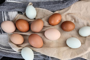 כמה תרצה להרוויח?