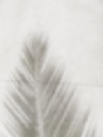 Image de Anna Sullivan