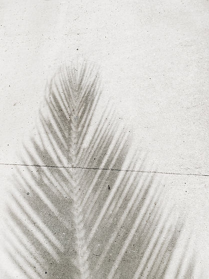 Image by Anna Sullivan