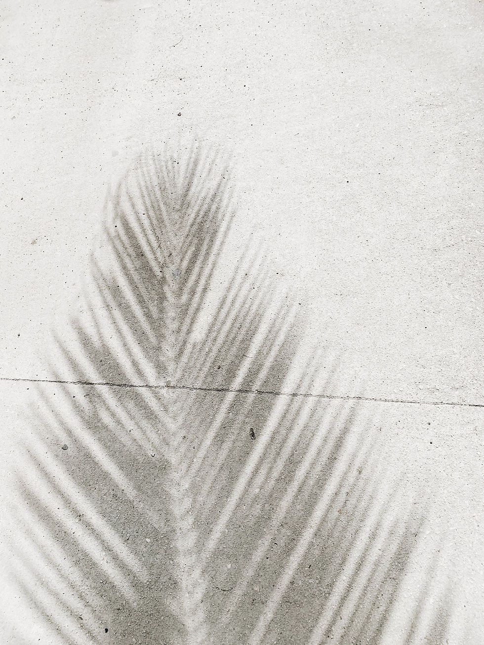 Image by Anna Sullivan