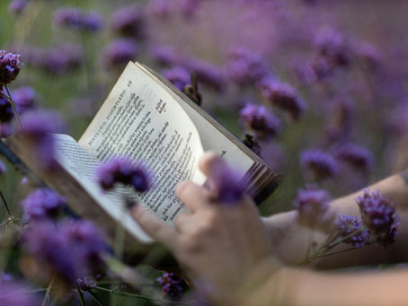 Cuida bien tu jardín