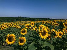 The 10 best weekend trips from Sao Paulo, Brazil