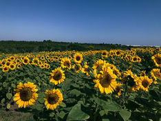 The 10 best weekend trips from Sao Paulo, Brazil