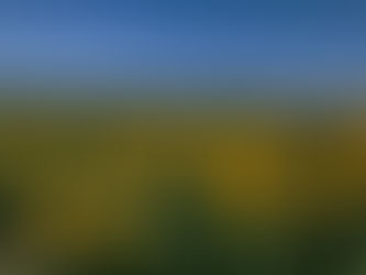 The 10 best weekend trips from Sao Paulo, Brazil