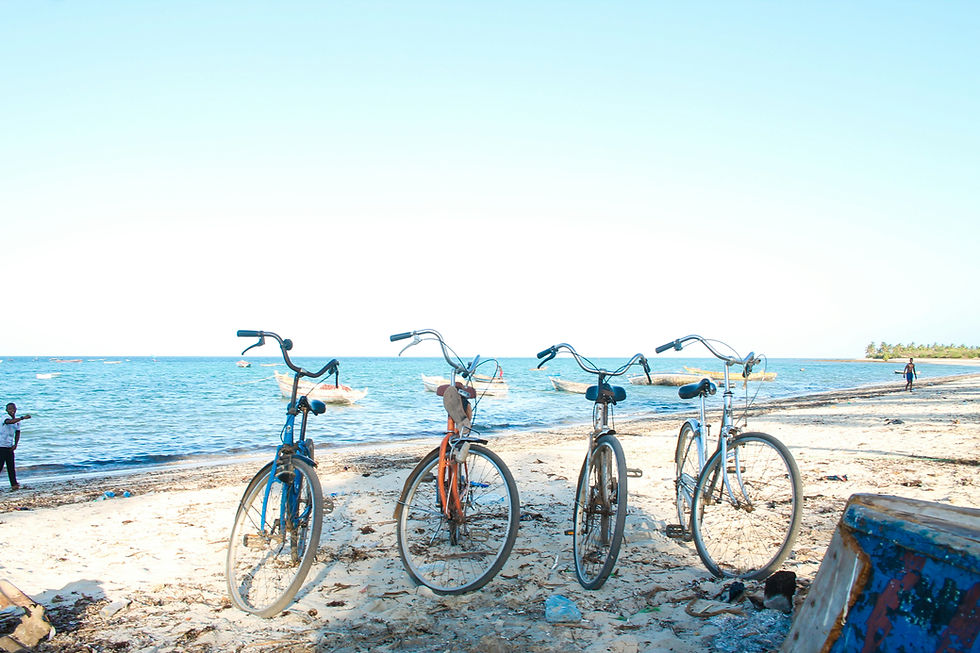 RODADA EN BICICLETAS