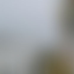 Pier with colored lights and railing on a cloudy day, overlooking a stormy sea and distant city skyline. No visible text. Moody atmosphere.