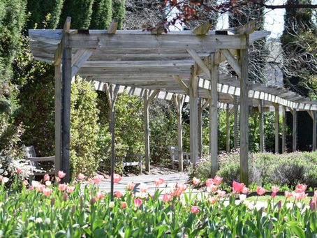 Spring is the perfect time to sell. Here’s how to get your home ready for the season.