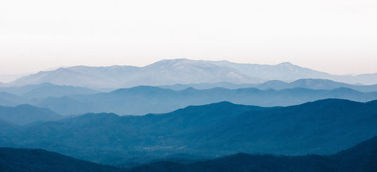 Image by Wes Hicks