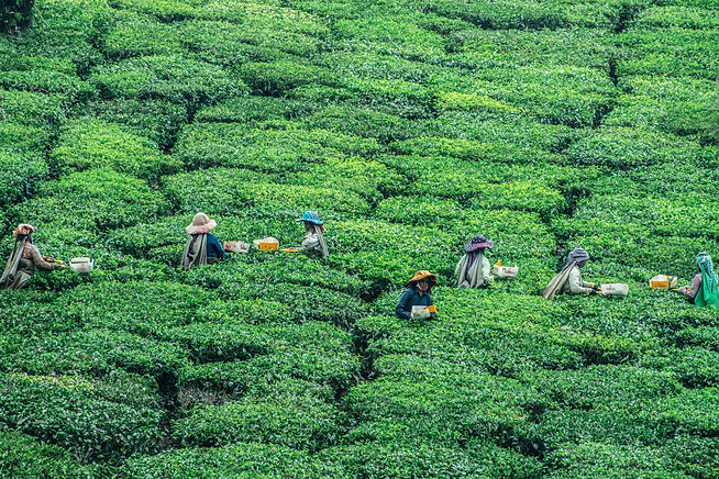 Image by aboodi vesakaran
