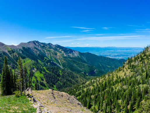 Summer Adventures in Bozeman, Montana: 10 Things You Don’t Want to Miss