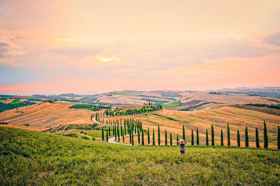 Person in a field overlooking a vibrant Tuscan landscape with winding road lined by cypress trees, under a pink sunset sky.