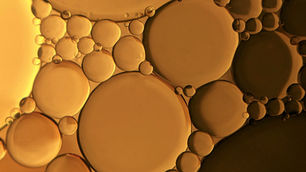 Checkerspot develops high-oleic palm oil alternative made via microalgae fermentation