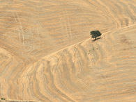 Climate justice at the tipping point as courts recast inaction as a human-rights violation