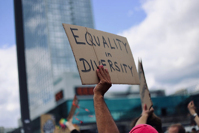 Image by Amy Elting