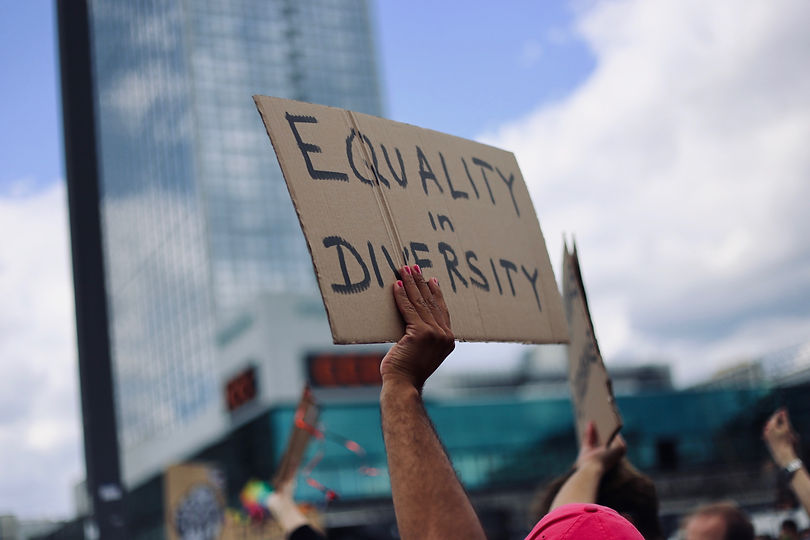 Image by Amy Elting