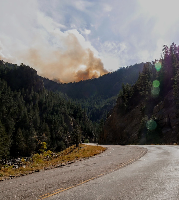 Forest Fire on a Rural Road