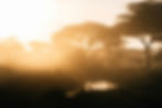 Image by Peter Thomas