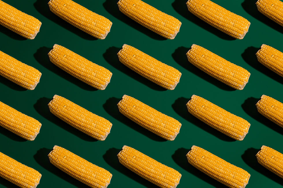 mais consigli su cosa mangiare in estate