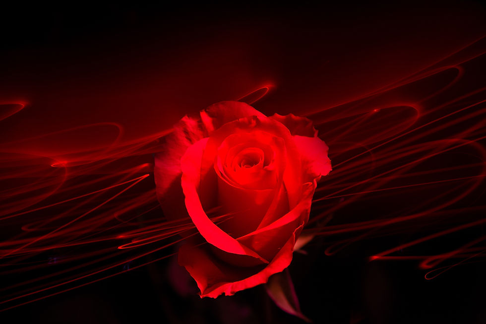 Image by Angelo Abear