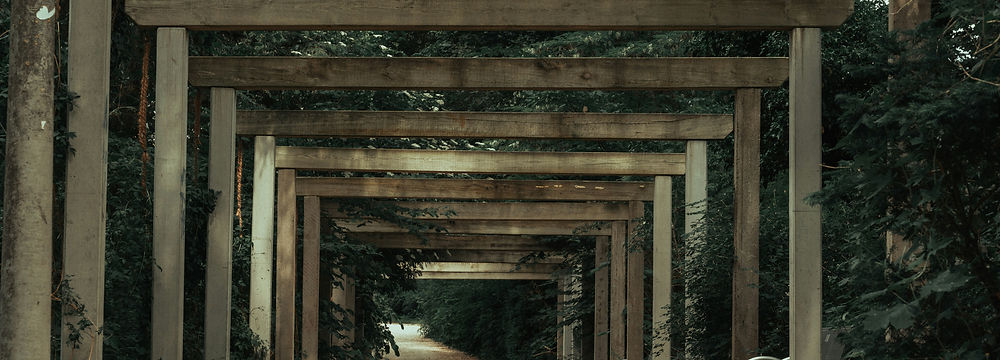 Sleek metal pergola with a contemporary design, enhancing the outdoor living area with shade and sophistication.