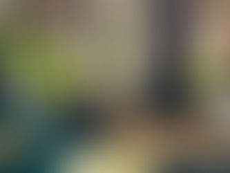 Cozy room with couches, blankets and plants