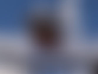 Que faire avec les plantes en cas de gel et de neige? Conseils pratiques pour le jardin en hiver