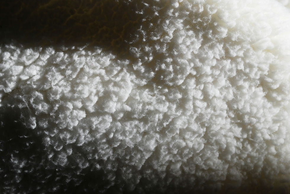 Close-up texture of natural wool fibres showing warmth and softness