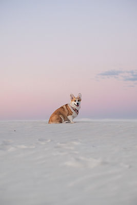 Image by Ivana La