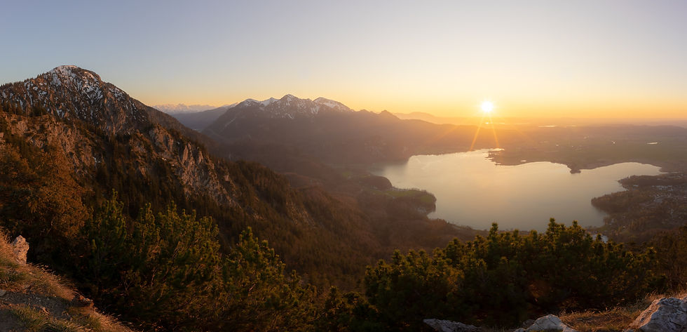 Image by Daniel Seßler
