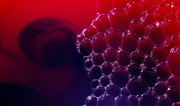 Image by engin akyurt