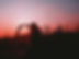 Image by monkeyoutside