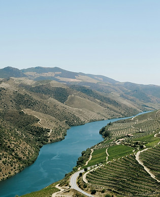 Image by Ricardo Resende