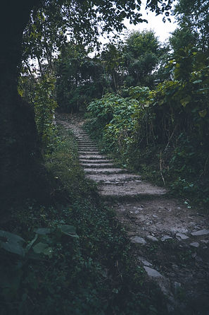 Image by Mashungam Ningshen