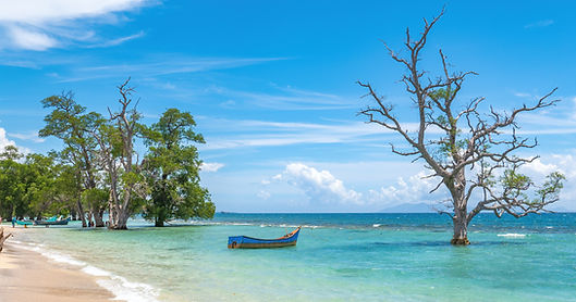 Image by Sangga Rima Roman Selia