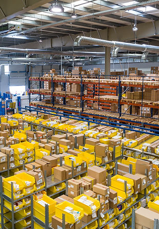 Image by Adrian Sulyok