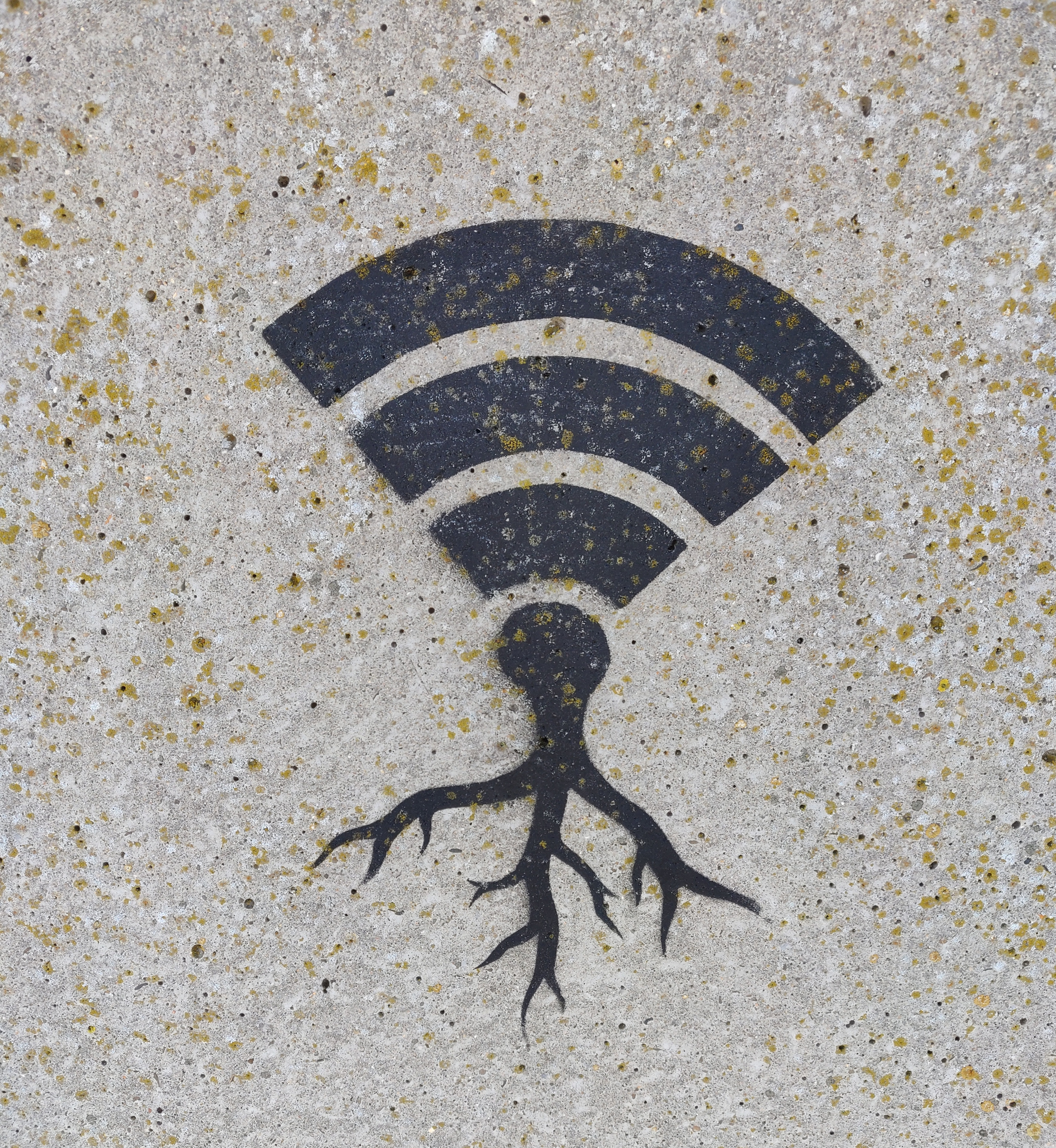 wifi symbol on cement with roots growing out of it