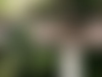 The Path Taken: Why Keeping to Mark Trails Matters